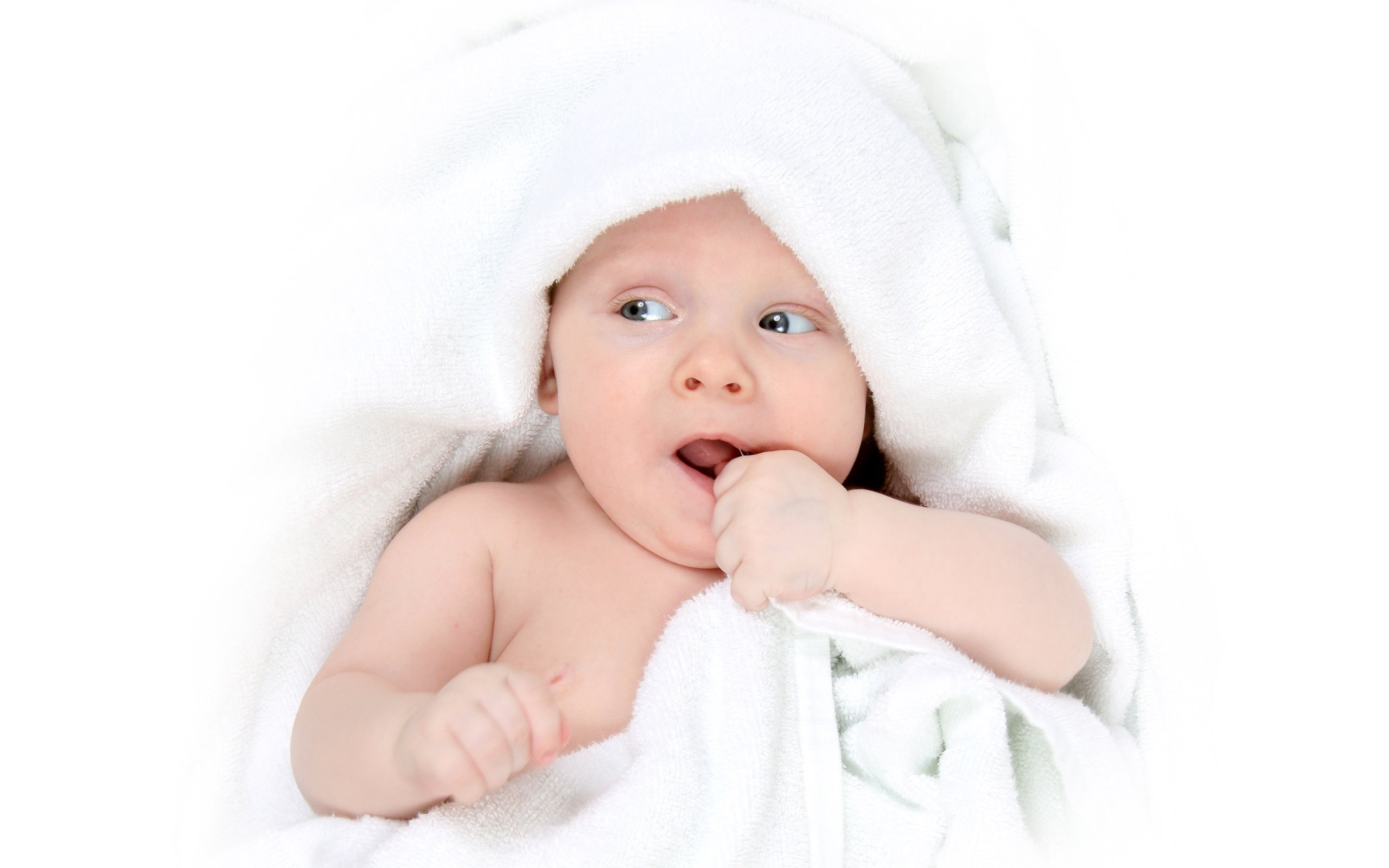助孕供卵胚胎孵化成功率